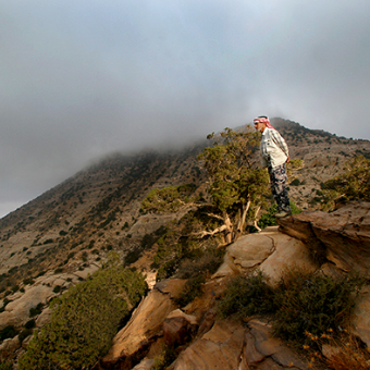 Biosphärenreservat Dana & Feynan 